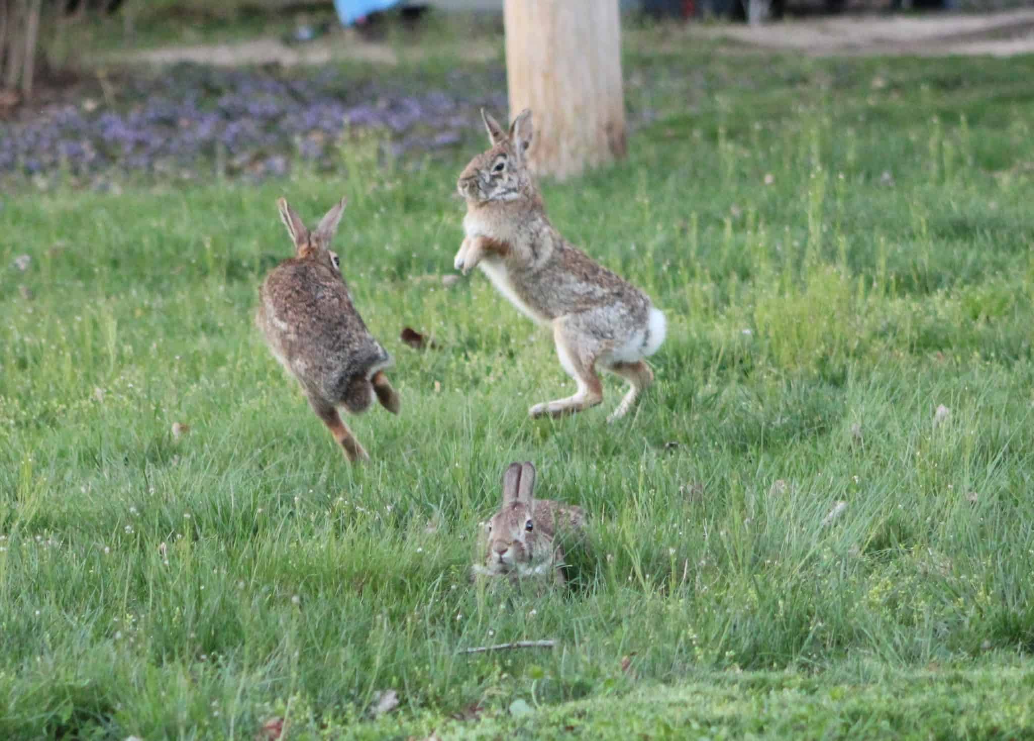 Come Home to Watsontown Watsontown Borough