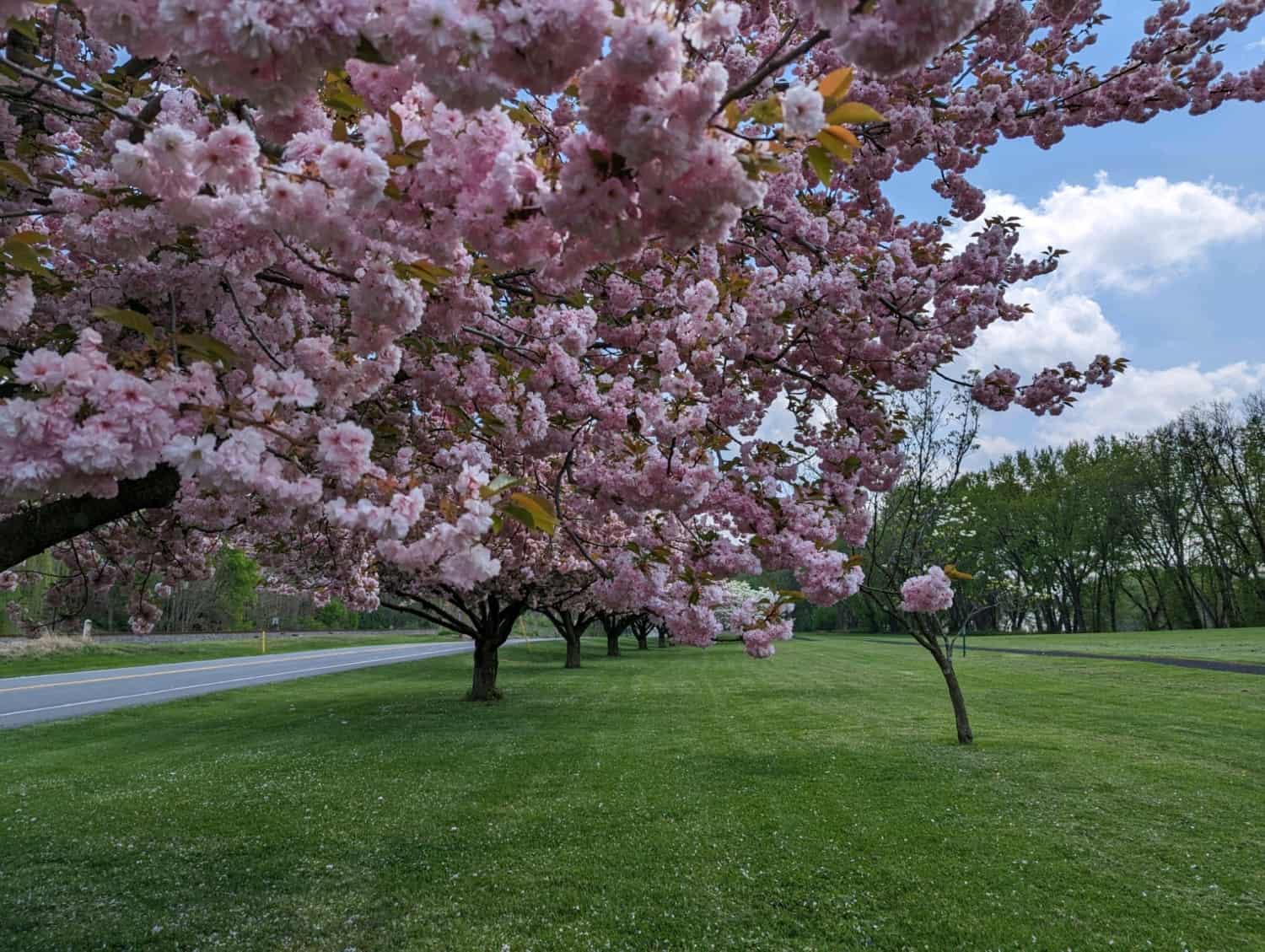 Come Home to Watsontown Watsontown Borough