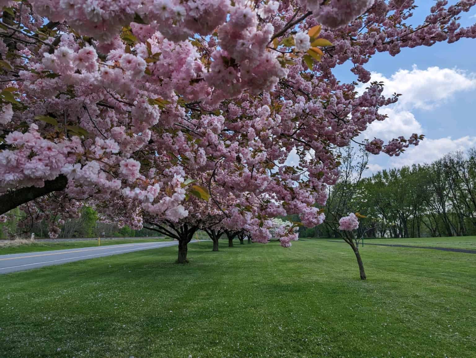 Come Home to Watsontown Watsontown Borough