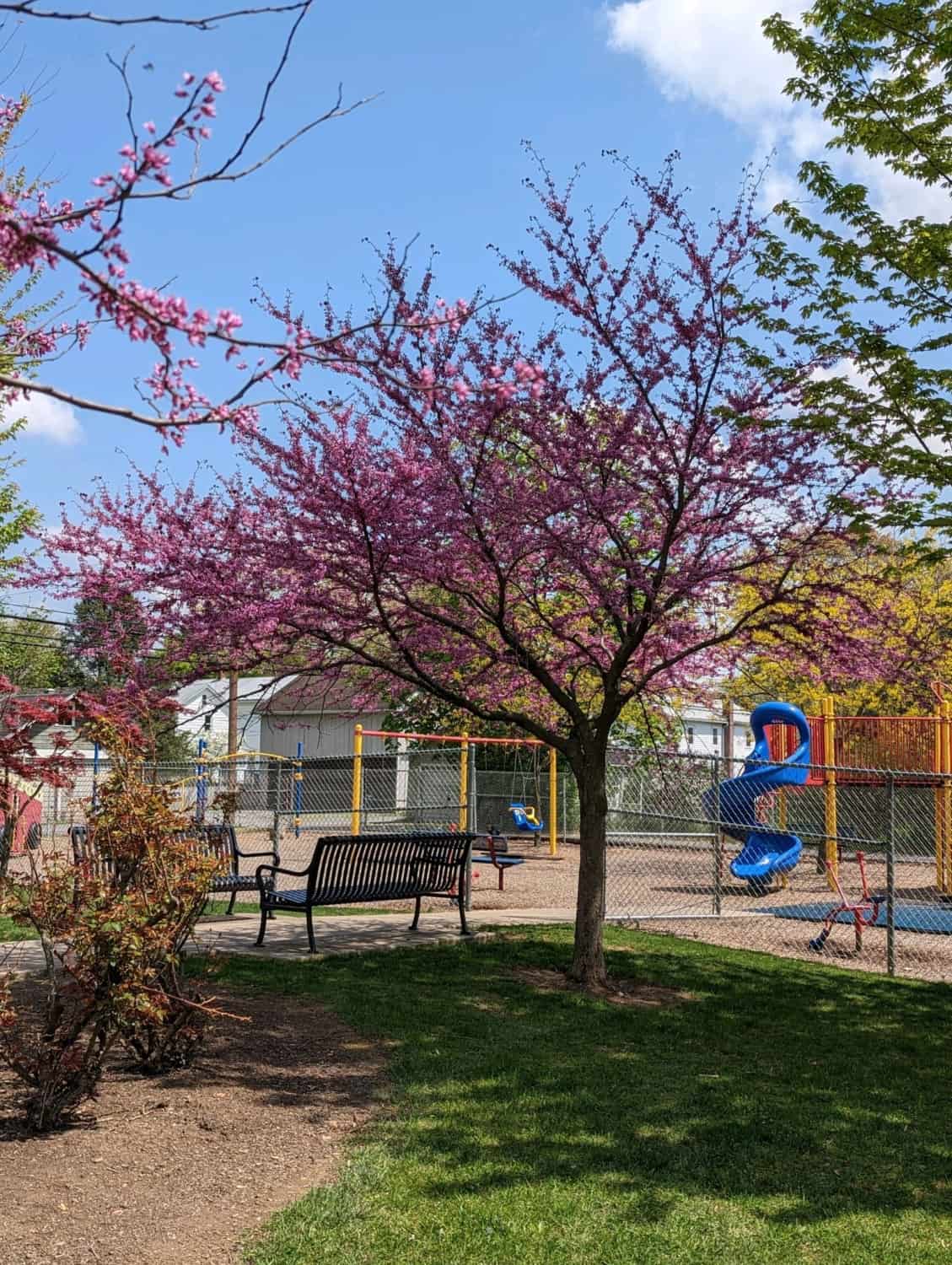 Come Home to Watsontown Watsontown Borough